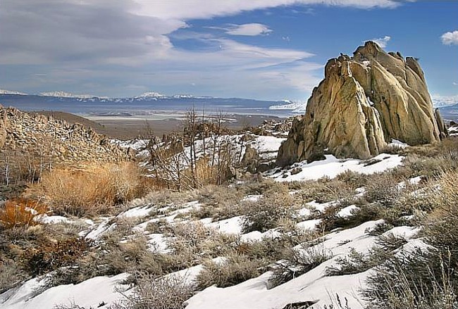 Rattlesnake Gulch - Lee Vining, California